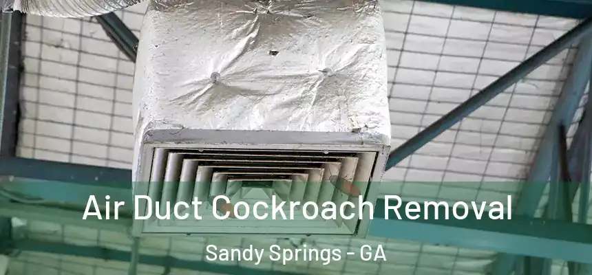  Air Duct Cockroach Removal Sandy Springs - GA