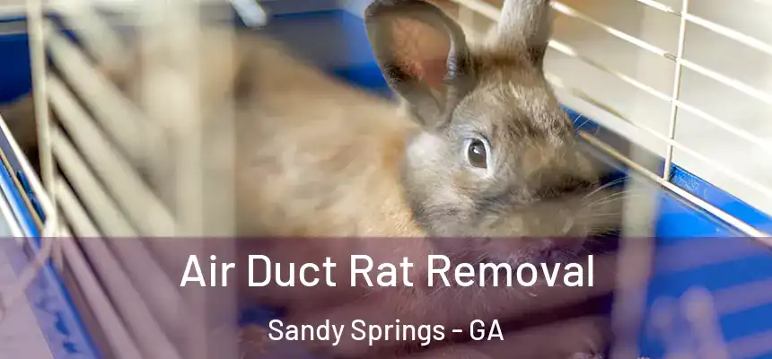 Air Duct Rat Removal Sandy Springs - GA