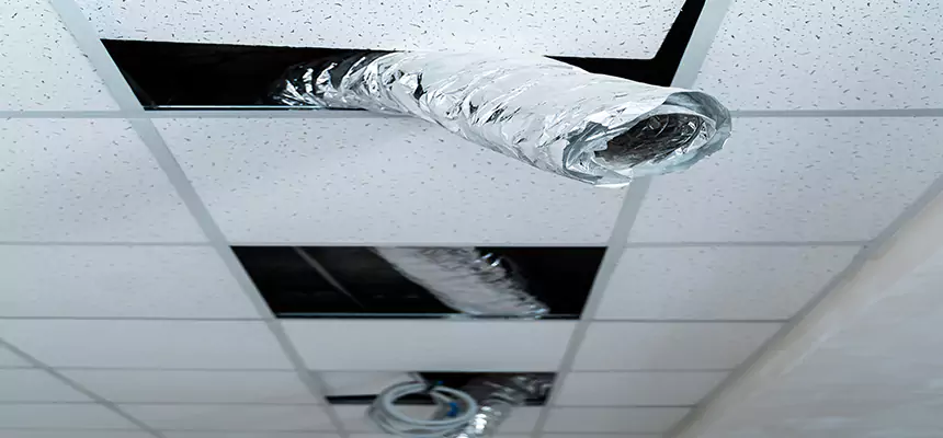 Affordable HVAC Sanitizing After Pest Removal in Sandy Springs