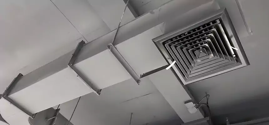 Restorative Allergy Relief Vent Cleaning – Coil, Blower & Housing Detail in Sandy Springs