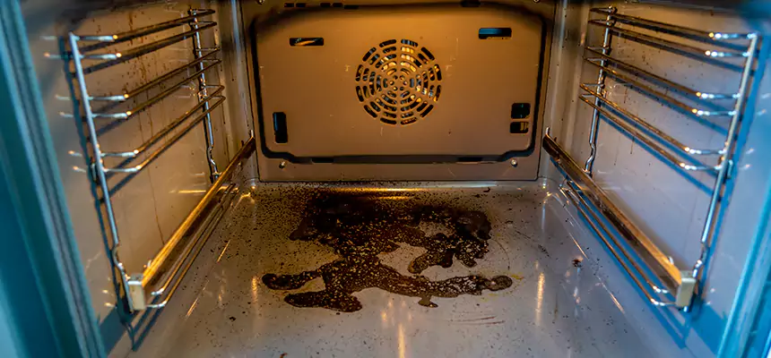 Our Dryer Vent Mold Cleaning Services in Sandy Springs, GA