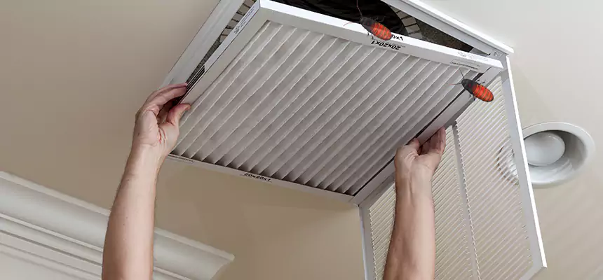 Our Insect Removal from Air Ducts Services in Sandy Springs, GA