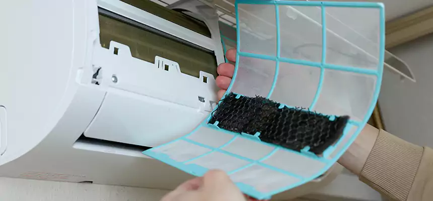 Gentle Ductwork Odor-Control Pet Dander Duct Cleaning in Sandy Springs, GA