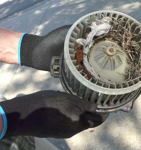 About Air Duct Mice Removal in Sandy Springs, GA