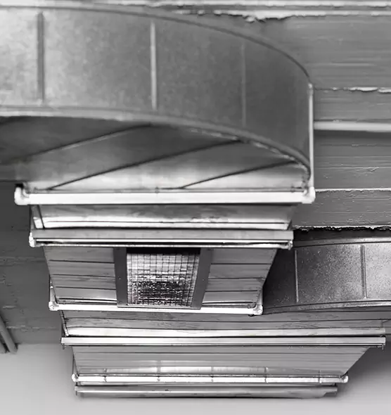 Professional Air Duct Pet Hair Removal in Sandy Springs, GA