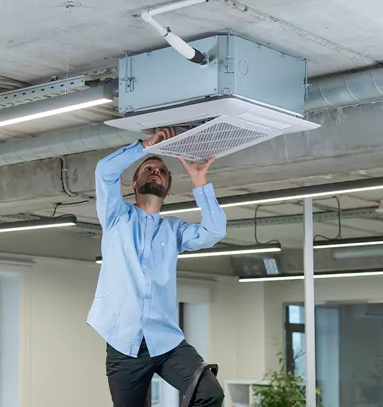 Advanced Rodent Droppings In Vents in Sandy Springs, GA