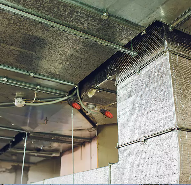 Why Homeowners & Businesses Trust Us in Sandy Springs, GA?