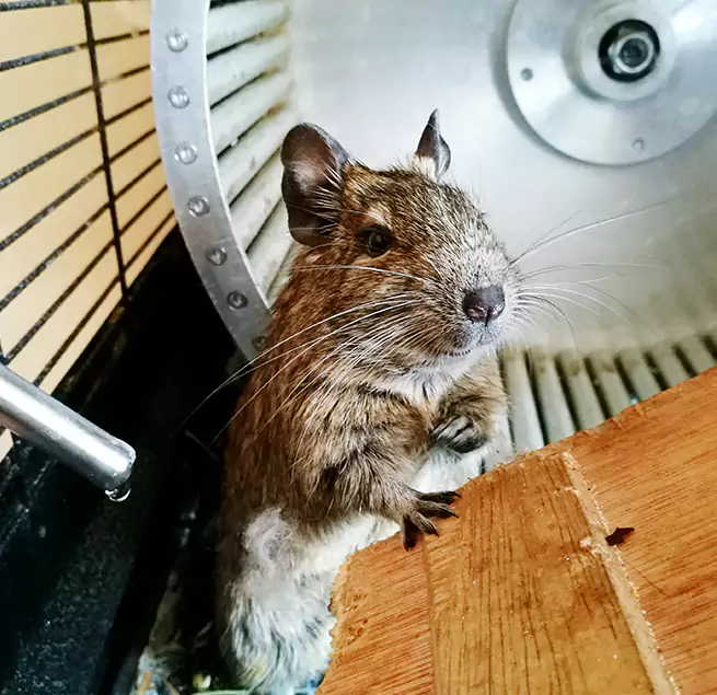 Why Homeowners & Businesses Trust Us Sandy Springs, GA?